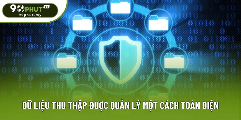 Dữ liệu thu thập được quản lý một cách toàn diện Dữ liệu thu thập được quản lý một cách toàn diện